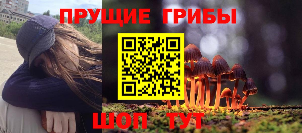 Галлюциногенные грибы Psilocybine cubensis Белогорск