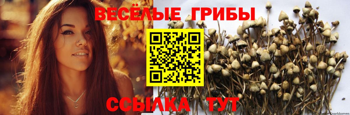 Псилоцибиновые грибы Magic Shrooms  Псилоцибиновые грибы Magic Shrooms  Белогорск  Вход с VPN 